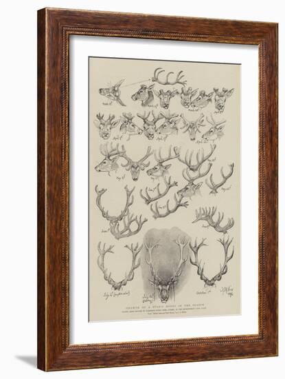 Growth of a Stag's Horns in One Season-John Everett Millais-Framed Giclee Print