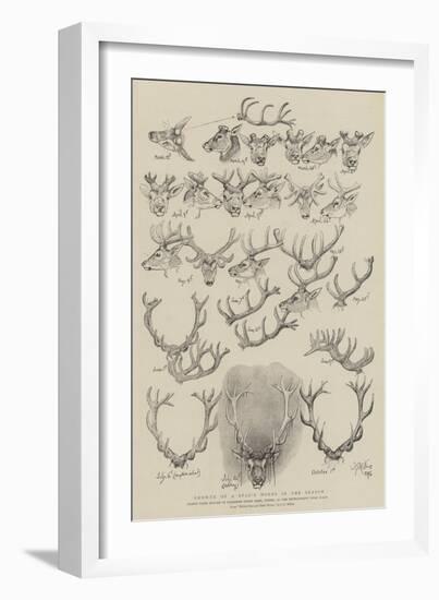 Growth of a Stag's Horns in One Season-John Everett Millais-Framed Giclee Print