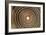 Growth Rings of a Tree-Georgette Douwma-Framed Photographic Print