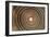 Growth Rings of a Tree-Georgette Douwma-Framed Photographic Print