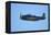 Grumman Avenger, Warbirds over Wanaka, War Plane, New Zealand-David Wall-Framed Premier Image Canvas
