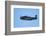 Grumman Avenger, Warbirds over Wanaka, War Plane, New Zealand-David Wall-Framed Photographic Print