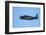 Grumman Avenger, Warbirds over Wanaka, War Plane, New Zealand-David Wall-Framed Photographic Print