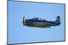 Grumman Avenger, Warbirds over Wanaka, War Plane, New Zealand-David Wall-Mounted Photographic Print