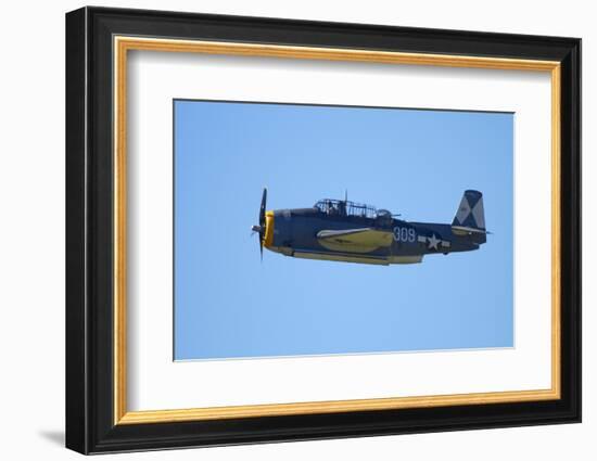 Grumman Avenger, Warbirds over Wanaka, War Plane, New Zealand-David Wall-Framed Photographic Print