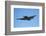 Grumman Avenger, Warbirds over Wanaka, War Plane, New Zealand-David Wall-Framed Photographic Print