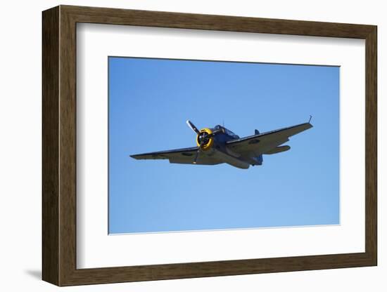 Grumman Avenger, Warbirds over Wanaka, War Plane, New Zealand-David Wall-Framed Photographic Print