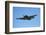 Grumman Avenger, Warbirds over Wanaka, War Plane, New Zealand-David Wall-Framed Photographic Print