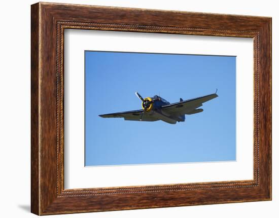 Grumman Avenger, Warbirds over Wanaka, War Plane, New Zealand-David Wall-Framed Photographic Print