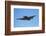 Grumman Avenger, Warbirds over Wanaka, War Plane, New Zealand-David Wall-Framed Photographic Print