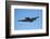 Grumman Avenger, Warbirds over Wanaka, War Plane, New Zealand-David Wall-Framed Photographic Print