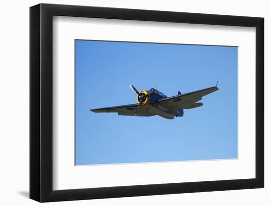 Grumman Avenger, Warbirds over Wanaka, War Plane, New Zealand-David Wall-Framed Photographic Print