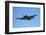 Grumman Avenger, Warbirds over Wanaka, War Plane, New Zealand-David Wall-Framed Photographic Print