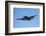 Grumman Avenger, Warbirds over Wanaka, War Plane, New Zealand-David Wall-Framed Photographic Print