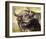 Grumpy Cape Buffalo-Joni Johnson-Godsy-Framed Giclee Print