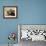 Grumpy Cape Buffalo-Joni Johnson-Godsy-Framed Giclee Print displayed on a wall