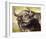 Grumpy Cape Buffalo-Joni Johnson-Godsy-Framed Giclee Print