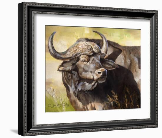 Grumpy Cape Buffalo-Joni Johnson-Godsy-Framed Giclee Print