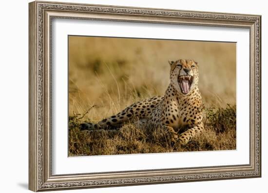 Grumpy Morning-Husain Alfraid-Framed Giclee Print