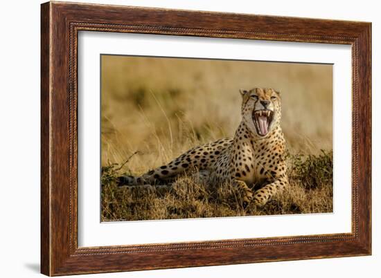 Grumpy Morning-Husain Alfraid-Framed Giclee Print