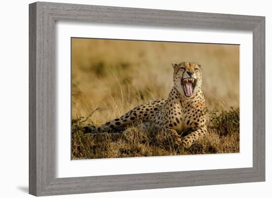 Grumpy Morning-Husain Alfraid-Framed Giclee Print