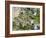 Grund Neighborhood, Luxembourg City, Luxembourg-William Sutton-Framed Photographic Print