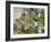 Grund Neighborhood, Luxembourg City, Luxembourg-William Sutton-Framed Photographic Print