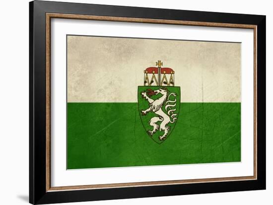 Grunge Austria State Of Steiermark Of Styria State Flag, Austria-Speedfighter-Framed Art Print