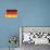 Grunge Flag Of Germany-cmfotoworks-Art Print displayed on a wall