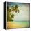 Grunge Image Of Tropical Beach-javarman-Framed Stretched Canvas