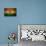 Grunge India Flag-darrenwhi-Mounted Art Print displayed on a wall