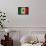 Grunge Mexican Flag-Graphic Design Resources-Framed Stretched Canvas displayed on a wall