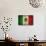 Grunge Mexican Flag-Graphic Design Resources-Art Print displayed on a wall