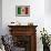 Grunge Mexican Flag-Graphic Design Resources-Framed Art Print displayed on a wall