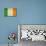 Grunge Officall Flag Of The Irish Tricolor, Republic Of Ireland-Speedfighter-Mounted Art Print displayed on a wall