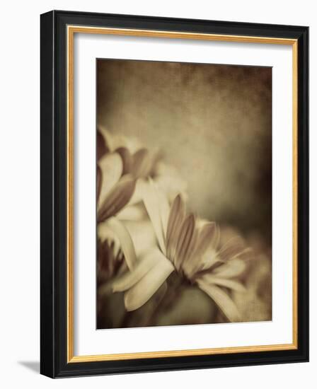 Grunge Photo of Daisy Flowers, Old Grungy Image of Tender Chamomile-Anna Omelchenko-Framed Art Print