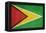 Grunge Sovereign State Flag Of Country Of Guyana In Official Colors-Speedfighter-Framed Stretched Canvas