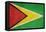 Grunge Sovereign State Flag Of Country Of Guyana In Official Colors-Speedfighter-Framed Stretched Canvas