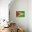 Grunge Sovereign State Flag Of Country Of Guyana In Official Colors-Speedfighter-Art Print displayed on a wall