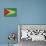 Grunge Sovereign State Flag Of Country Of Guyana In Official Colors-Speedfighter-Mounted Art Print displayed on a wall