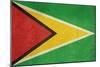 Grunge Sovereign State Flag Of Country Of Guyana In Official Colors-Speedfighter-Mounted Art Print