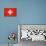 Grunge Sovereign State Flag Of Country Of Switzerland In Official Colors. F-Speedfighter-Art Print displayed on a wall