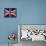 Grunge Union Jack Flag-prawny-Framed Stretched Canvas displayed on a wall