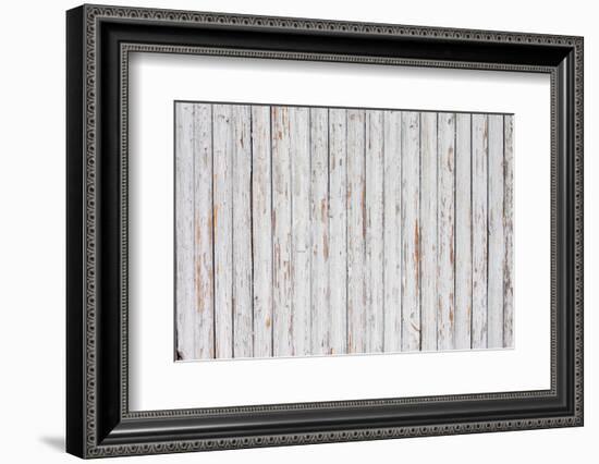 Grungy White Background of Natural Wood-H2Oshka-Framed Photographic Print