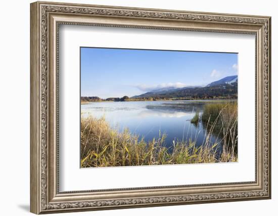 Gruntensee in Autumn, Ostallgau, Allgau, Allgau Alps, Bavaria, Germany, Europe-Markus Lange-Framed Photographic Print