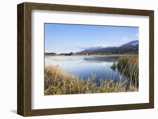 Gruntensee in Autumn, Ostallgau, Allgau, Allgau Alps, Bavaria, Germany, Europe-Markus Lange-Framed Photographic Print