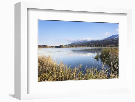 Gruntensee in Autumn, Ostallgau, Allgau, Allgau Alps, Bavaria, Germany, Europe-Markus Lange-Framed Photographic Print