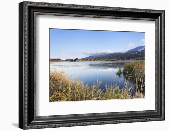 Gruntensee in Autumn, Ostallgau, Allgau, Allgau Alps, Bavaria, Germany, Europe-Markus Lange-Framed Photographic Print