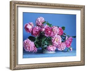 Grussan Achen Felicia and Centenaire de Lourdes Roses-Clay Perry-Framed Photographic Print