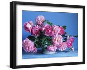 Grussan Achen Felicia and Centenaire de Lourdes Roses-Clay Perry-Framed Photographic Print